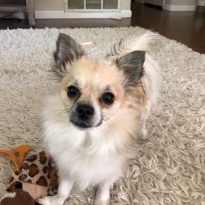 Meet your Posher, Bridget